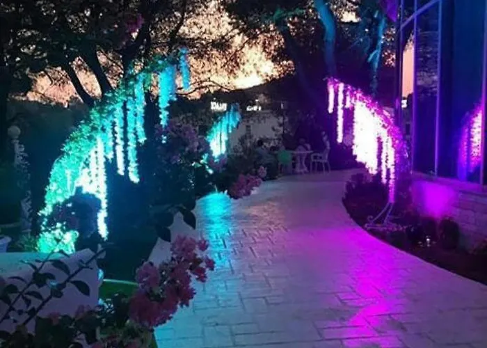 Kodra E Gjelber Hundekuq